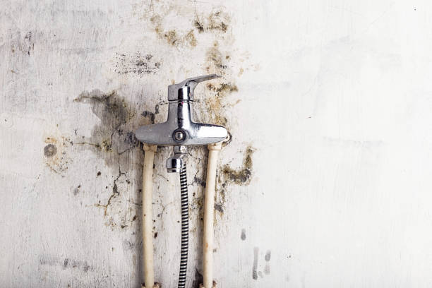 Best Mold Testing  in Big Bend, WI