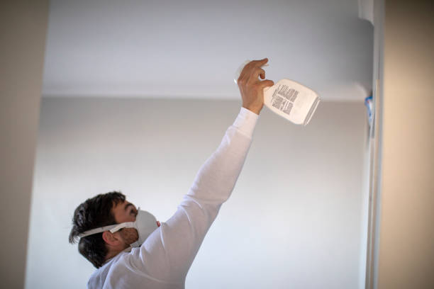 Best Black Mold Removal  in Big Bend, WI