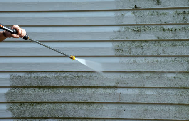 Best Home Mold Removal  in Big Bend, WI